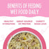 Weruva Meals n More Amazon Livin Chicken Wet Dog Food 3.5oz - Poudre Pet and Feed Supply